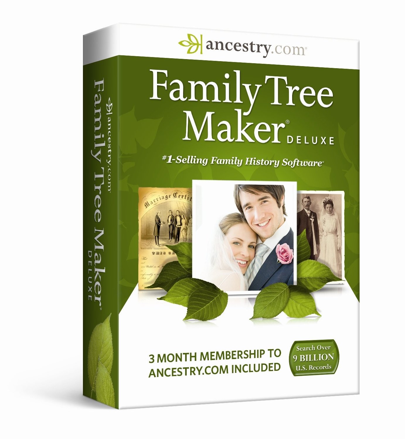 Family Tree Builder 8.0.0.8642 downloading